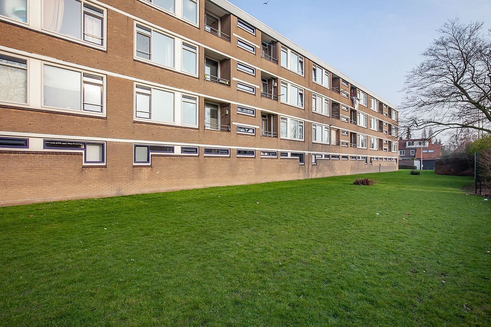Dahliastraat, Spijkenisse foto-13