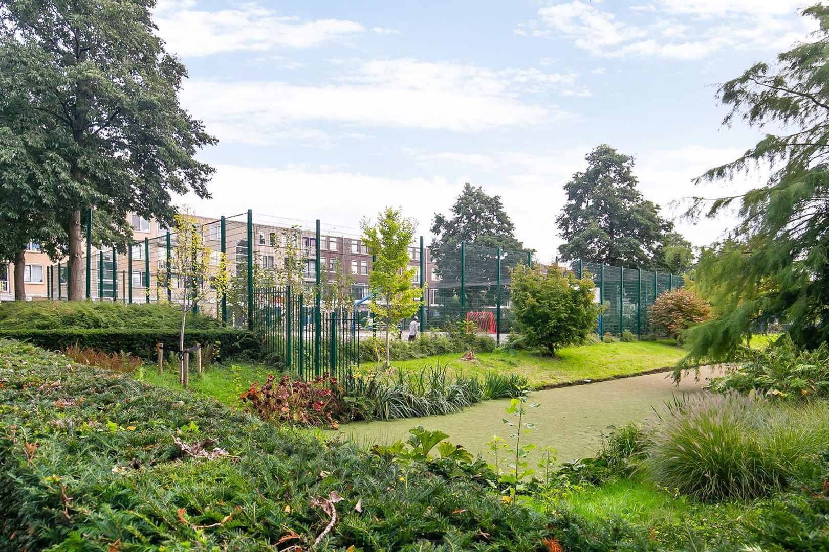 Palestinastraat, Rotterdam foto-22