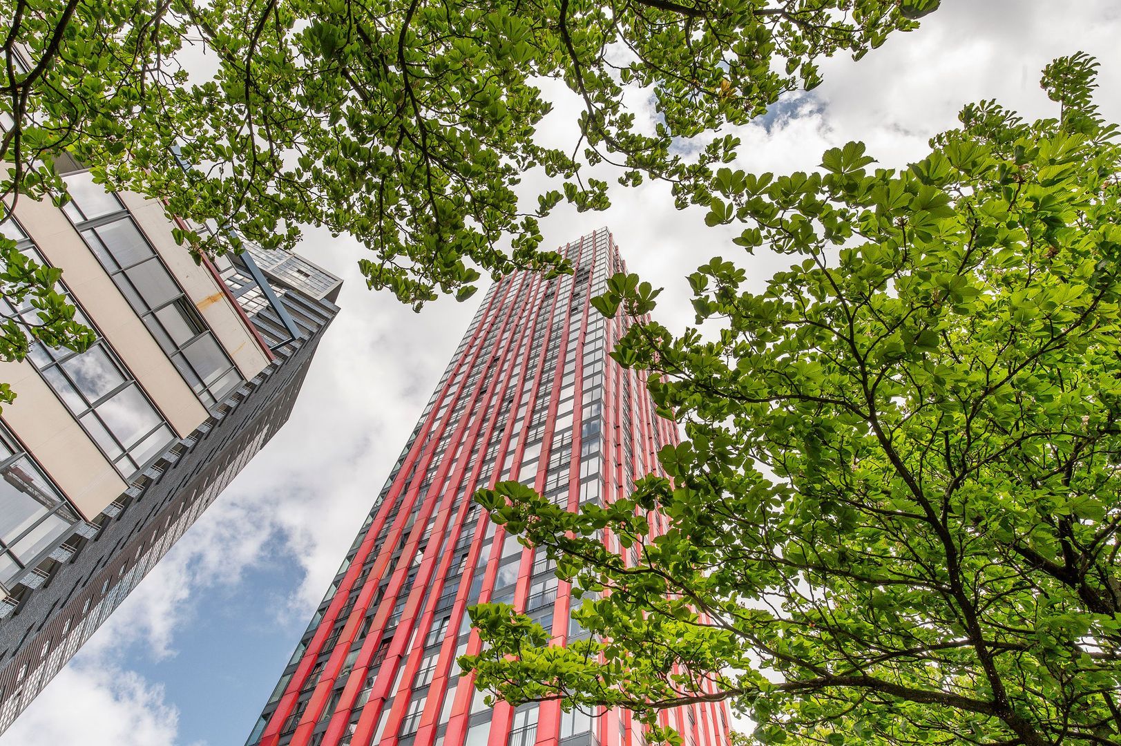 Wijnbrugstraat, Rotterdam foto-20