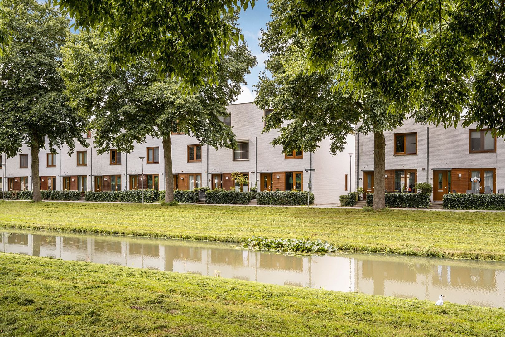 Ruisvoornpad, Hoogvliet foto-54