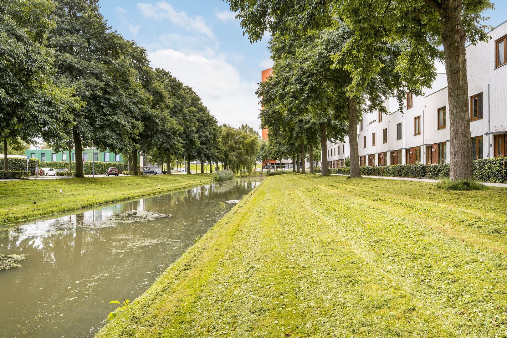 Ruisvoornpad, Hoogvliet foto-52