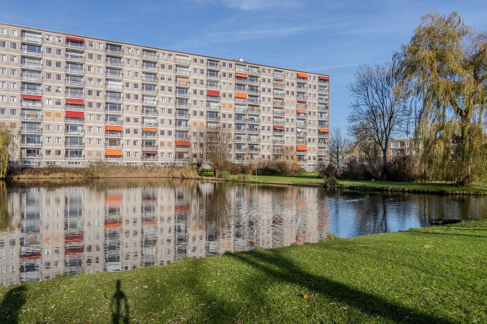 Akeleistraat, Spijkenisse foto-18
