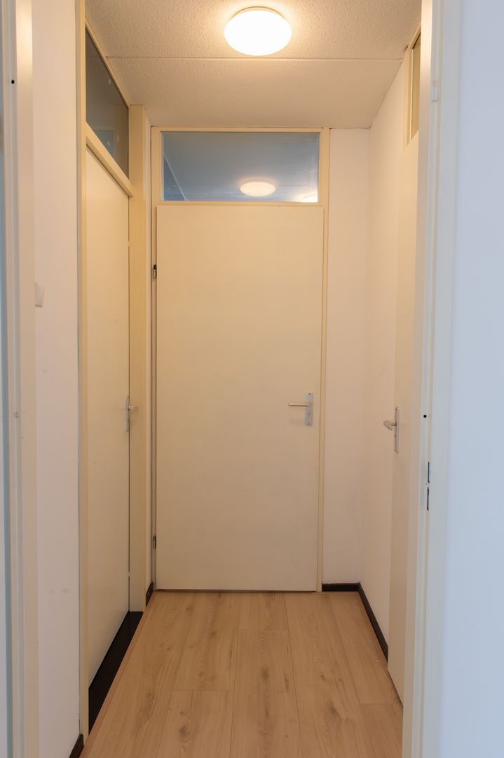 Frissenstein, Amsterdam foto-4