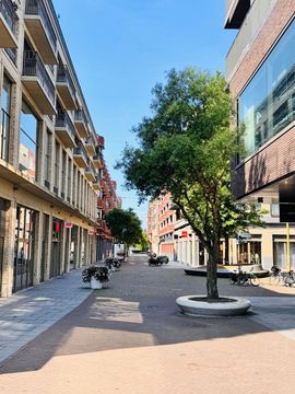 Apartment w/ access balcony Centrum Boulevard, Utrecht