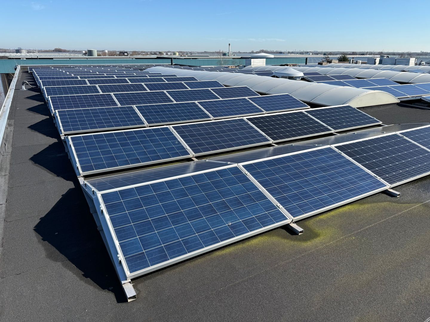 Oud Camp 22, Maasland foto-30