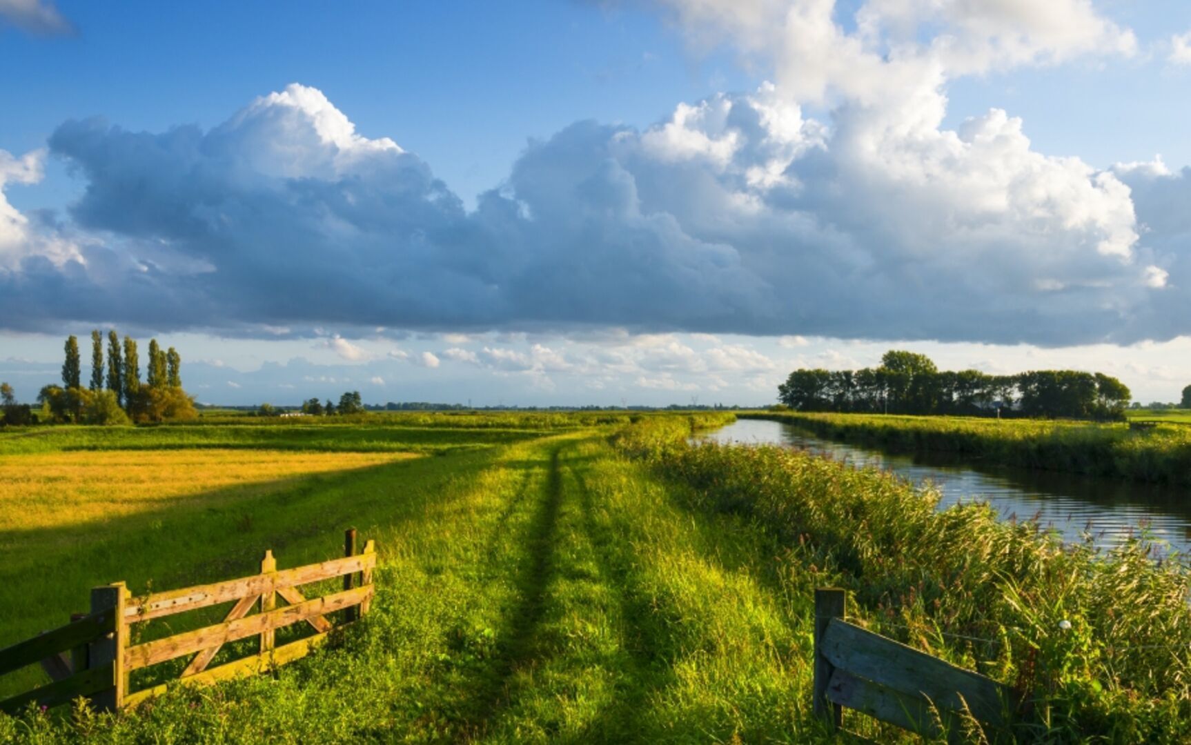 Een bouwkavel in het buitengebied kopen: 4 zaken om op te letten