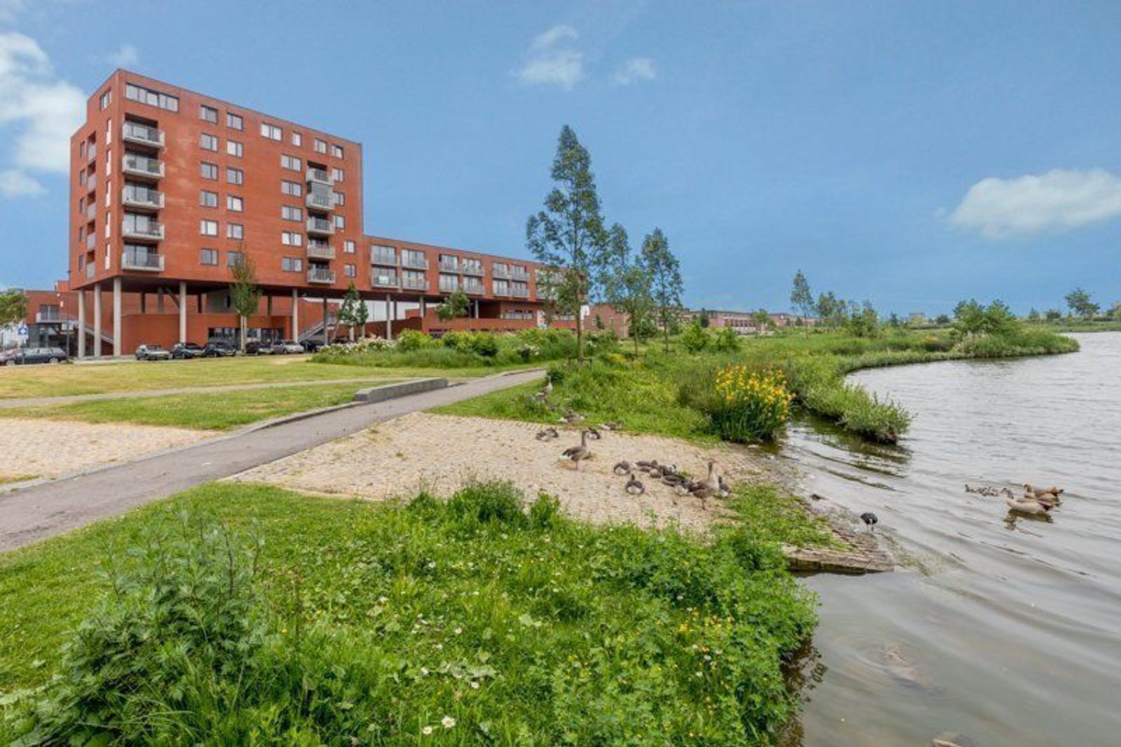 Tasmanië 10, Zoetermeer foto-0