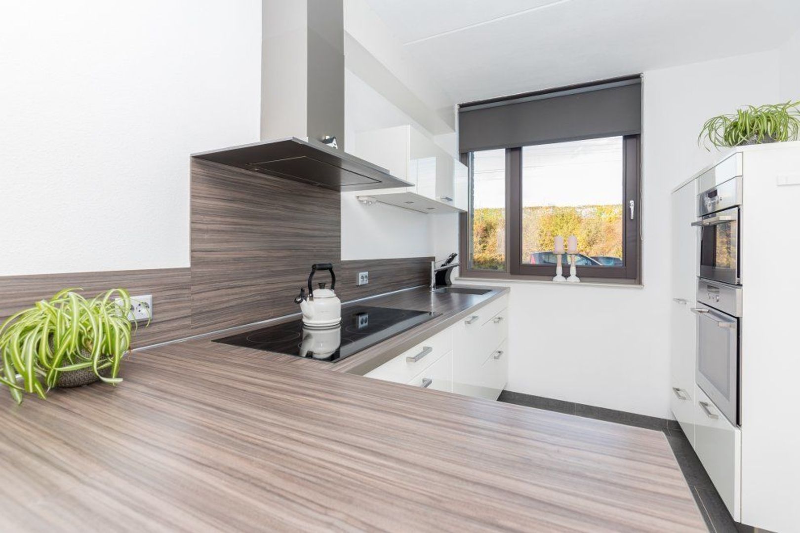 Elba 6, Zoetermeer foto-11