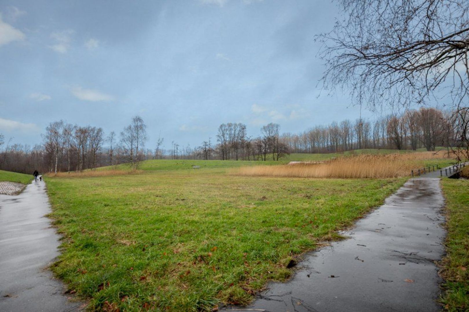 Elzehout 8, Zoetermeer foto-49