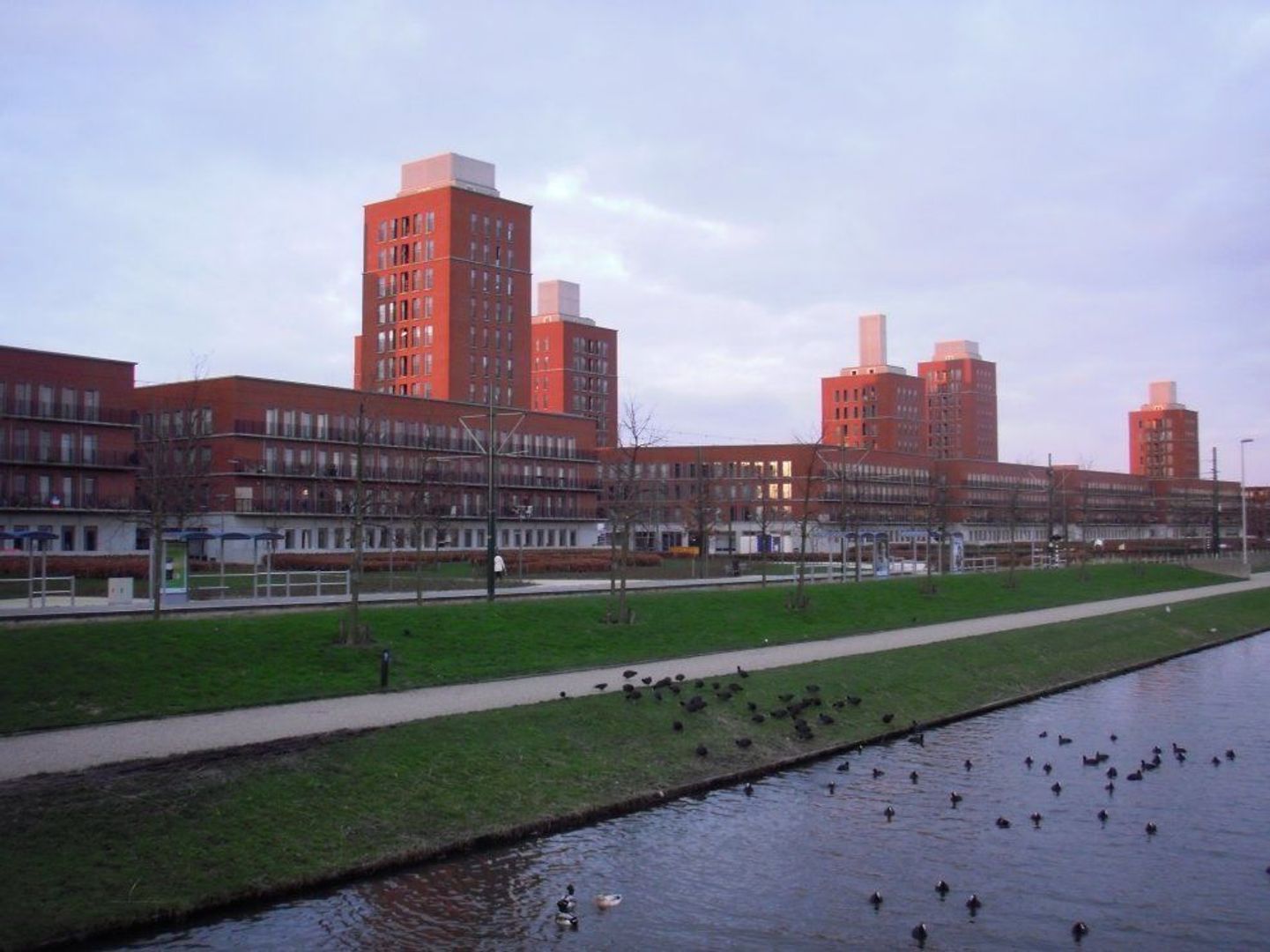 Steentijdsingel 135, Den Haag foto-0