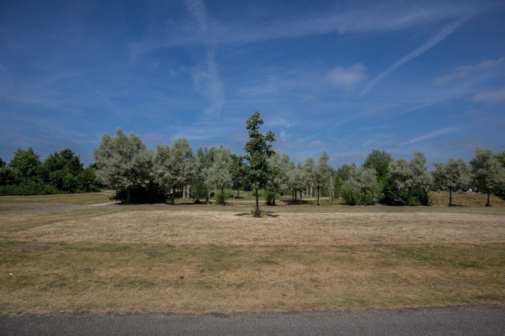 Spitsbergen 6, Zoetermeer foto-64