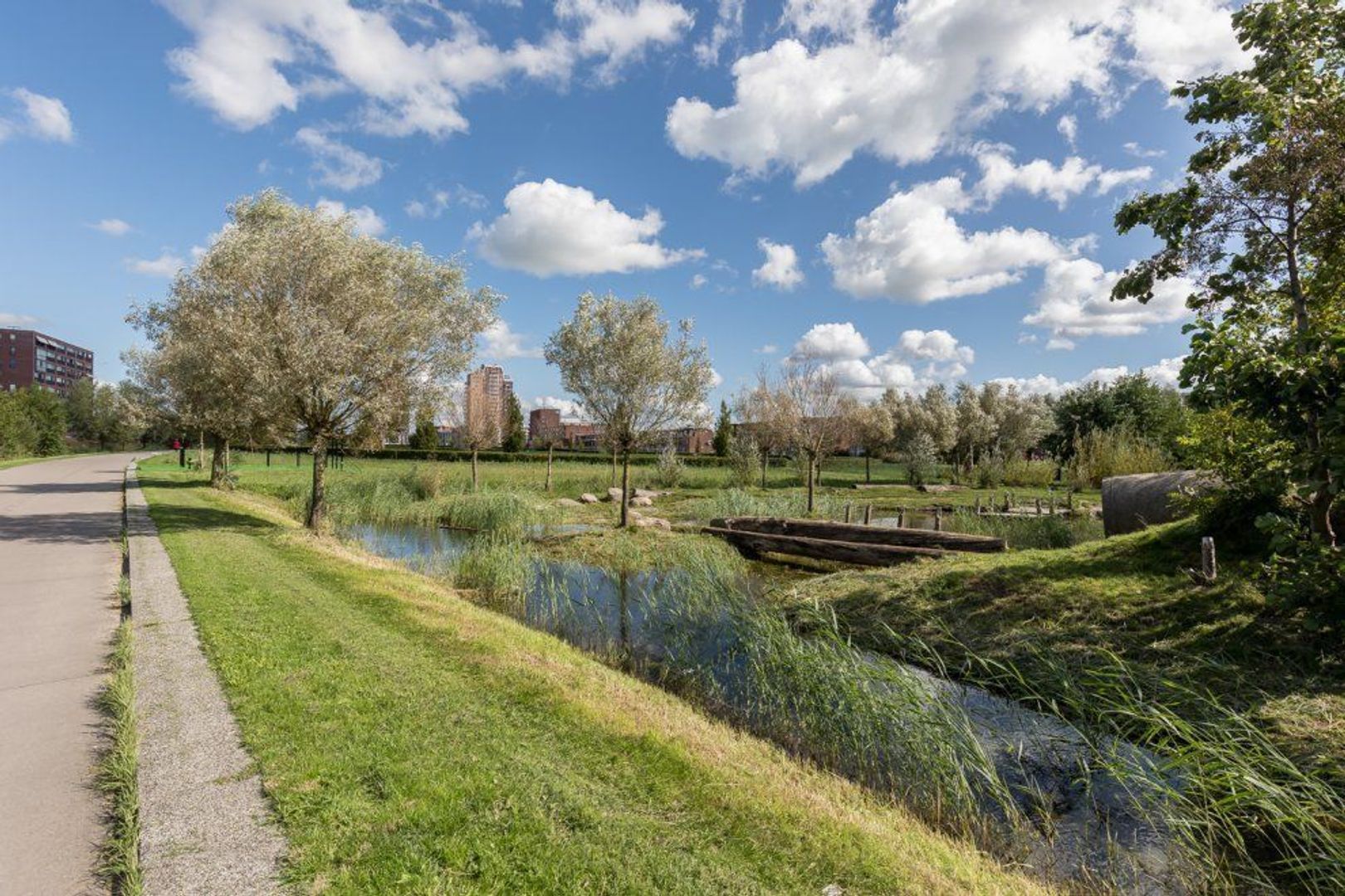 Tasmanië 144, Zoetermeer foto-87