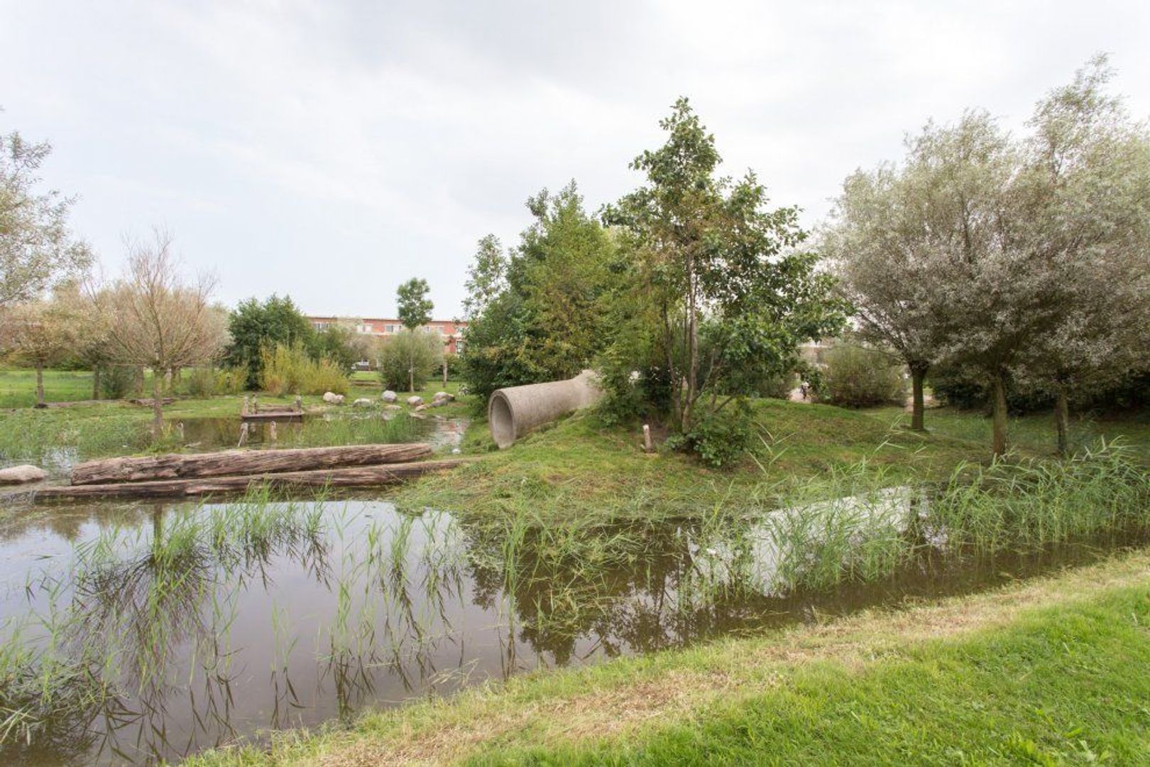 Cyprus 27, Zoetermeer foto-40