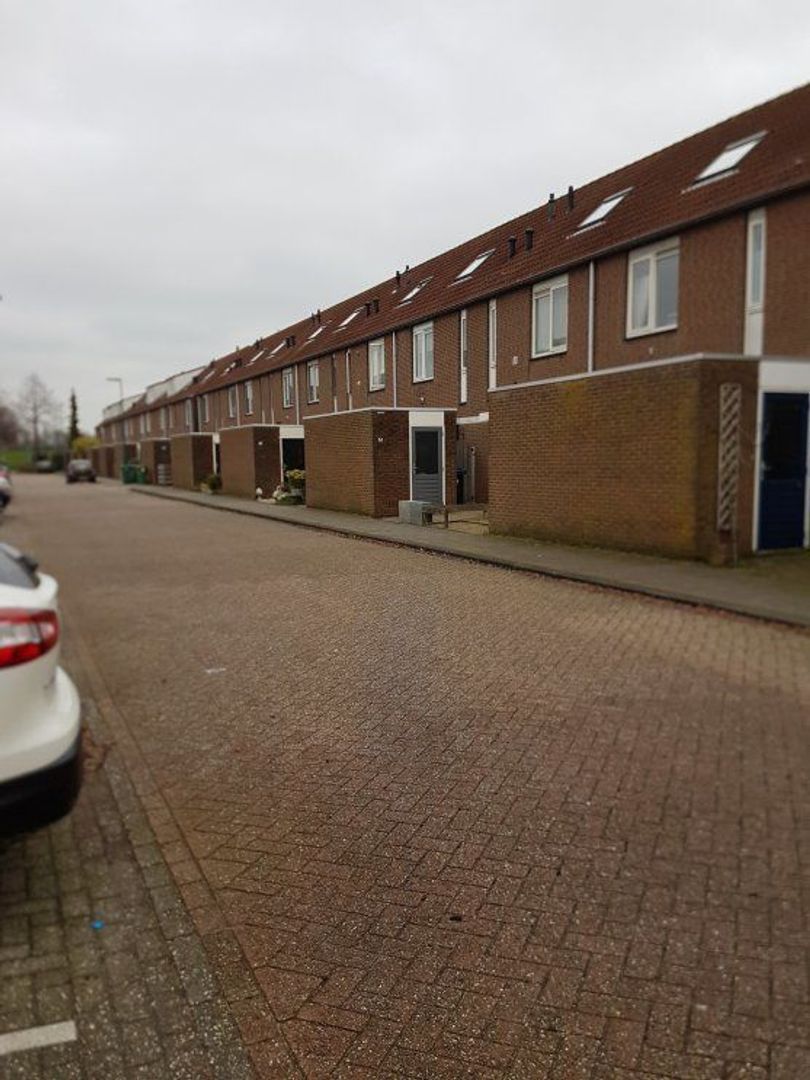 Aloëbruin 56, Zoetermeer foto-1