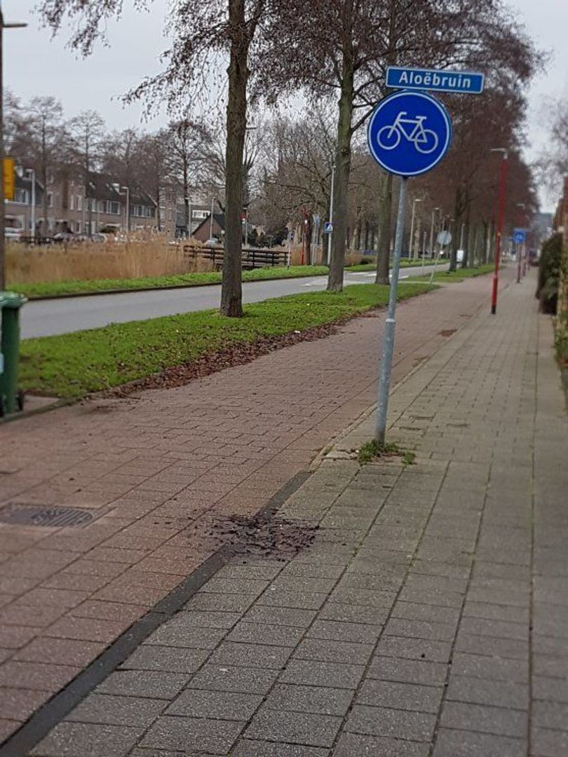 Aloëbruin 56, Zoetermeer foto-51