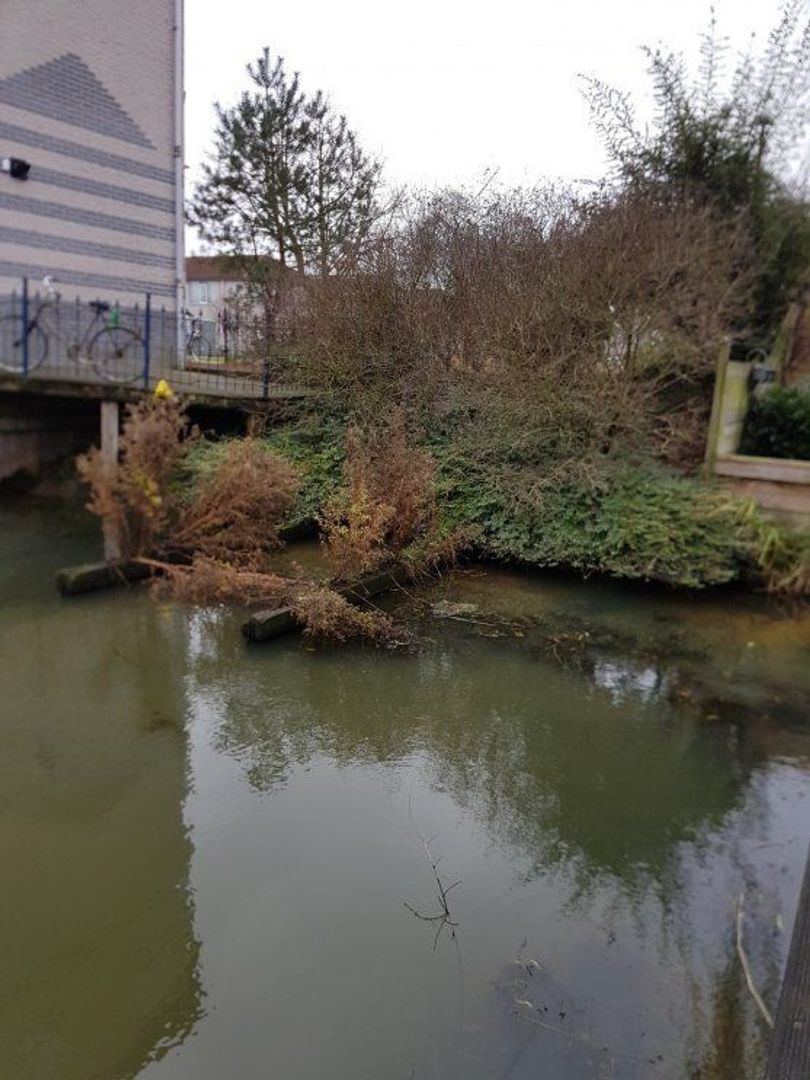 Aloëbruin 56, Zoetermeer foto-23