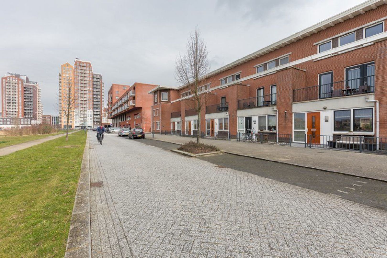 Tasmanie 100, Zoetermeer foto-2