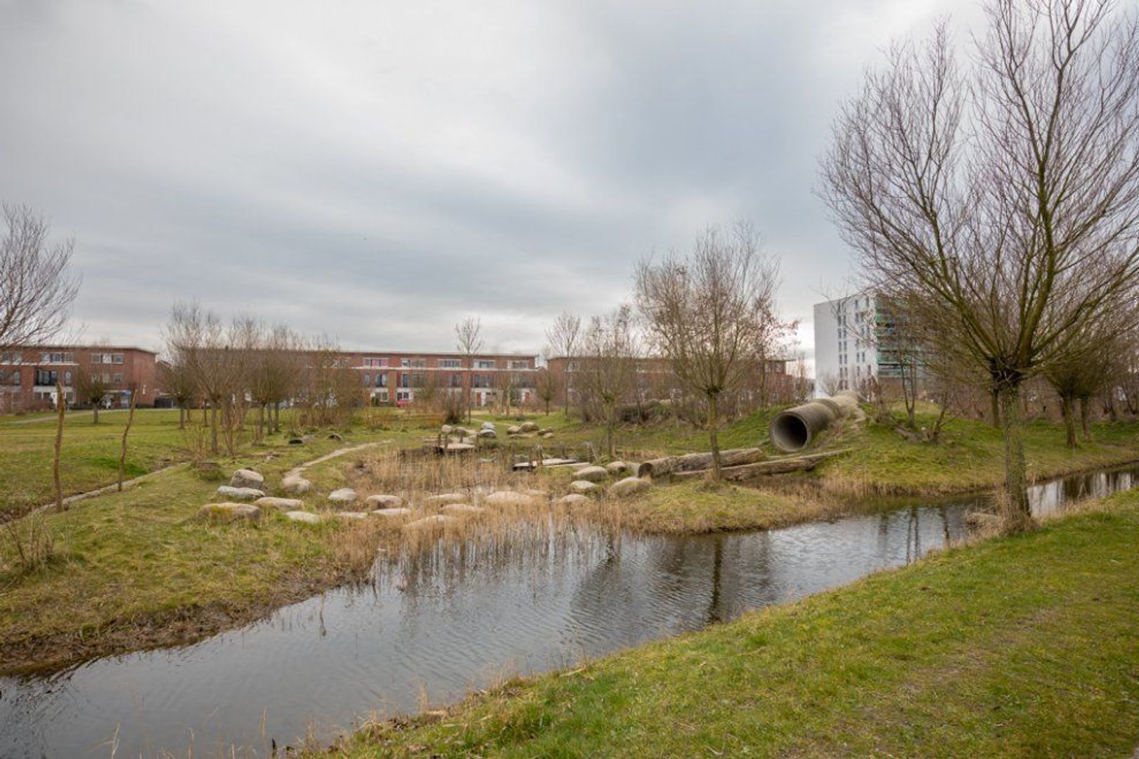 Tasmanie 100, Zoetermeer foto-47