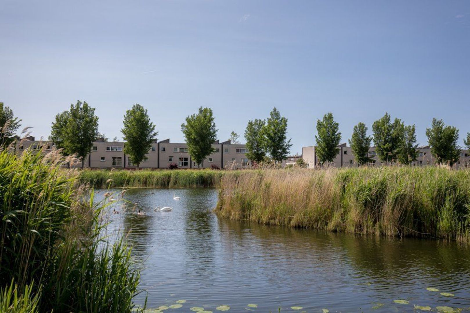 Schansbaan 167, Zoetermeer foto-84