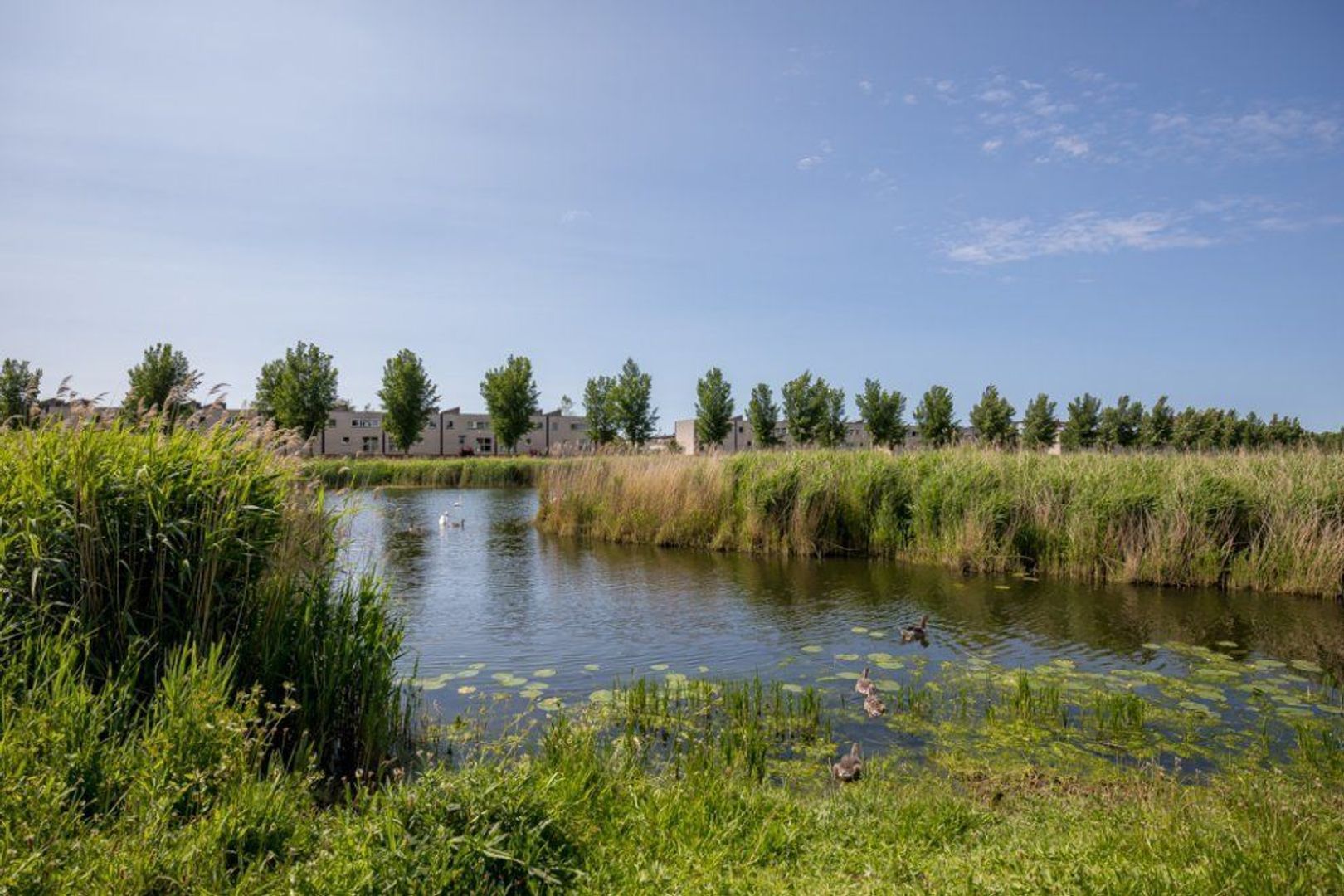 Schansbaan 167, Zoetermeer foto-83
