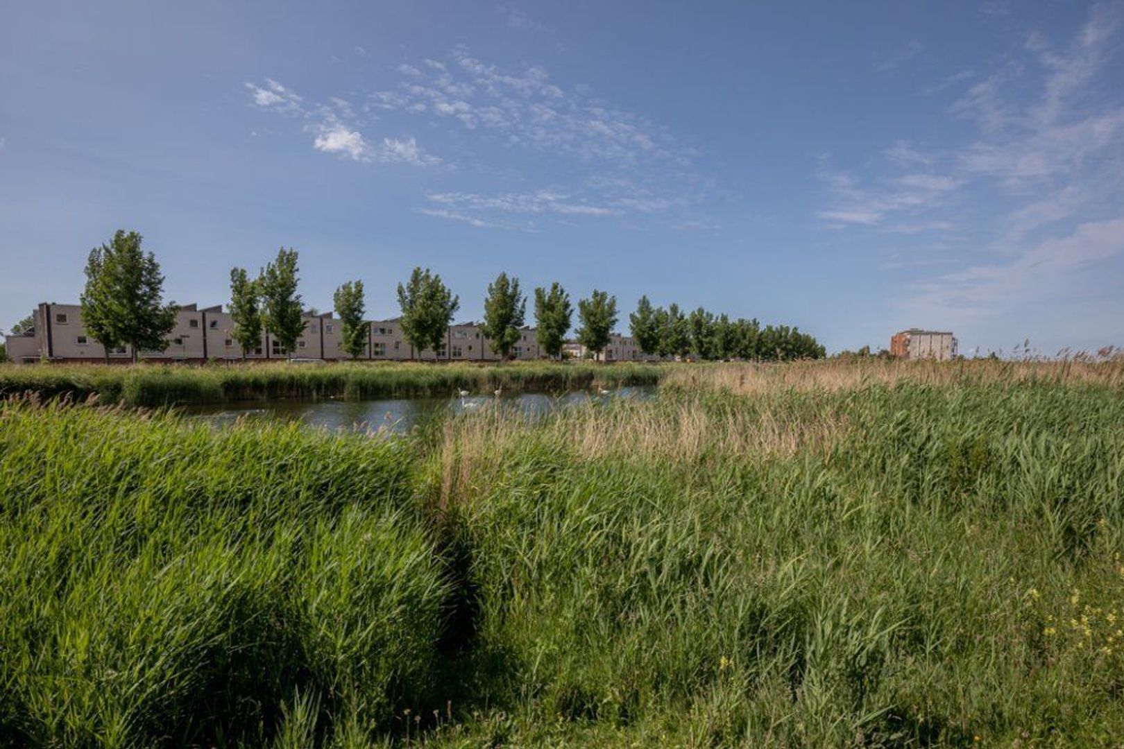 Schansbaan 167, Zoetermeer foto-85