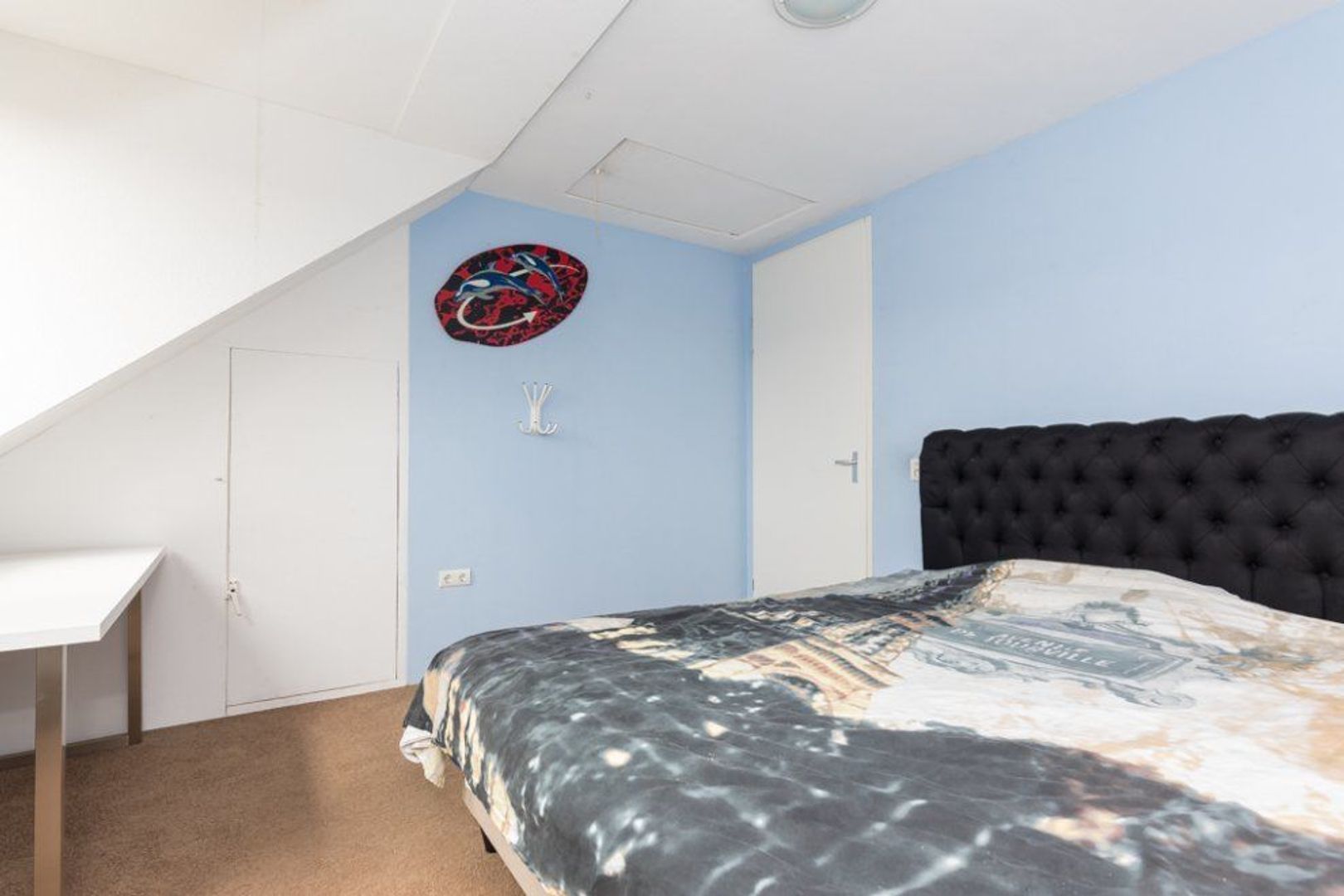 Tahiti 50, Zoetermeer foto-57