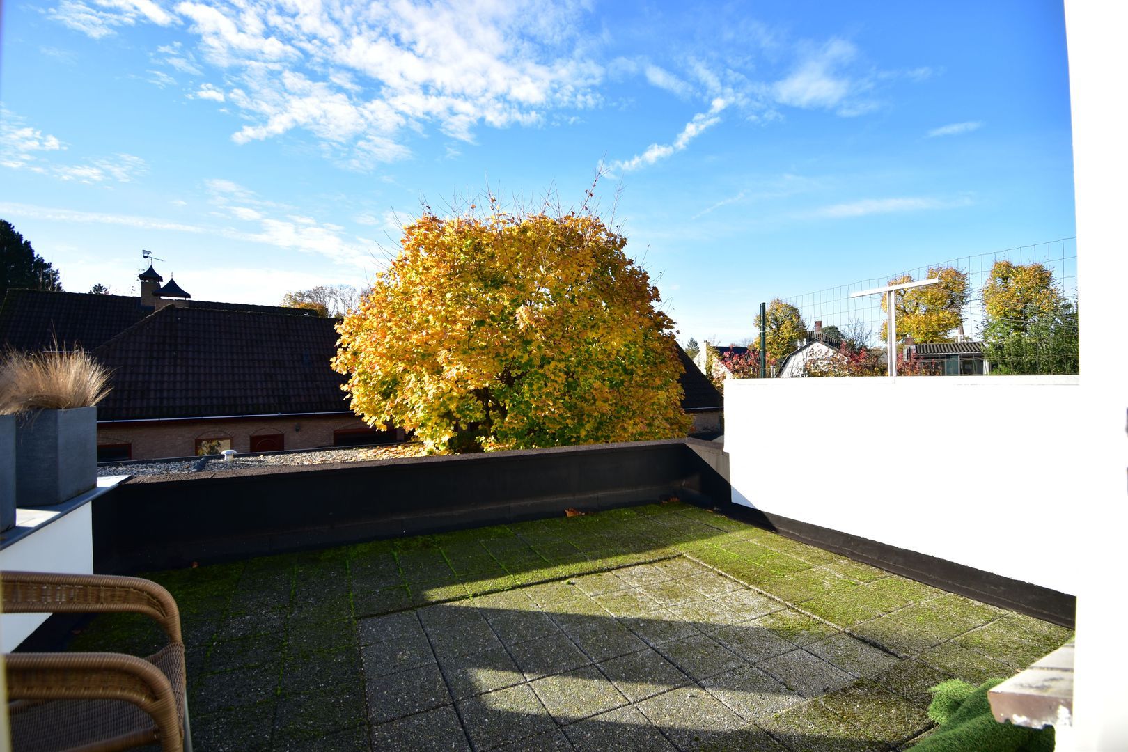 Bavelselaan, Breda foto-12 blur