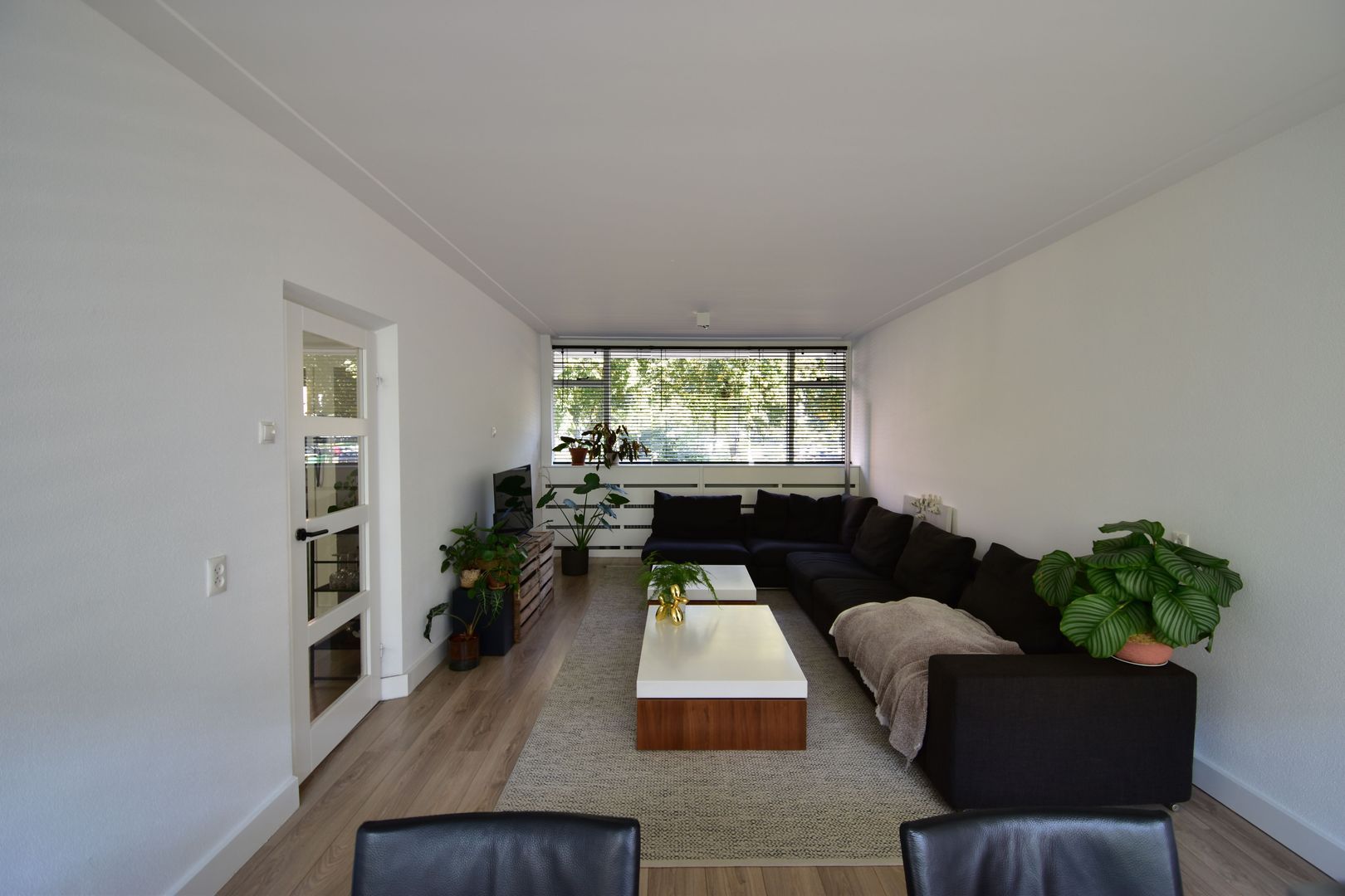 Duindoornstraat, Breda foto-6 blur