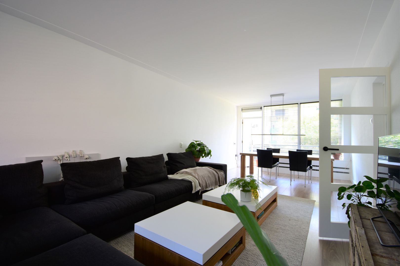 Duindoornstraat, Breda foto-4 blur