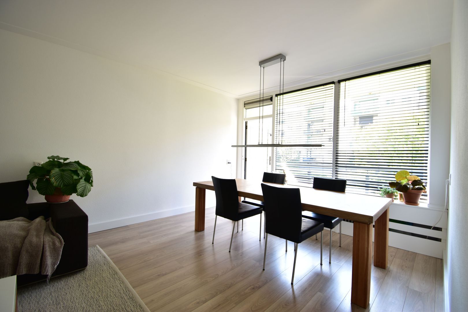 Duindoornstraat, Breda foto-8 blur