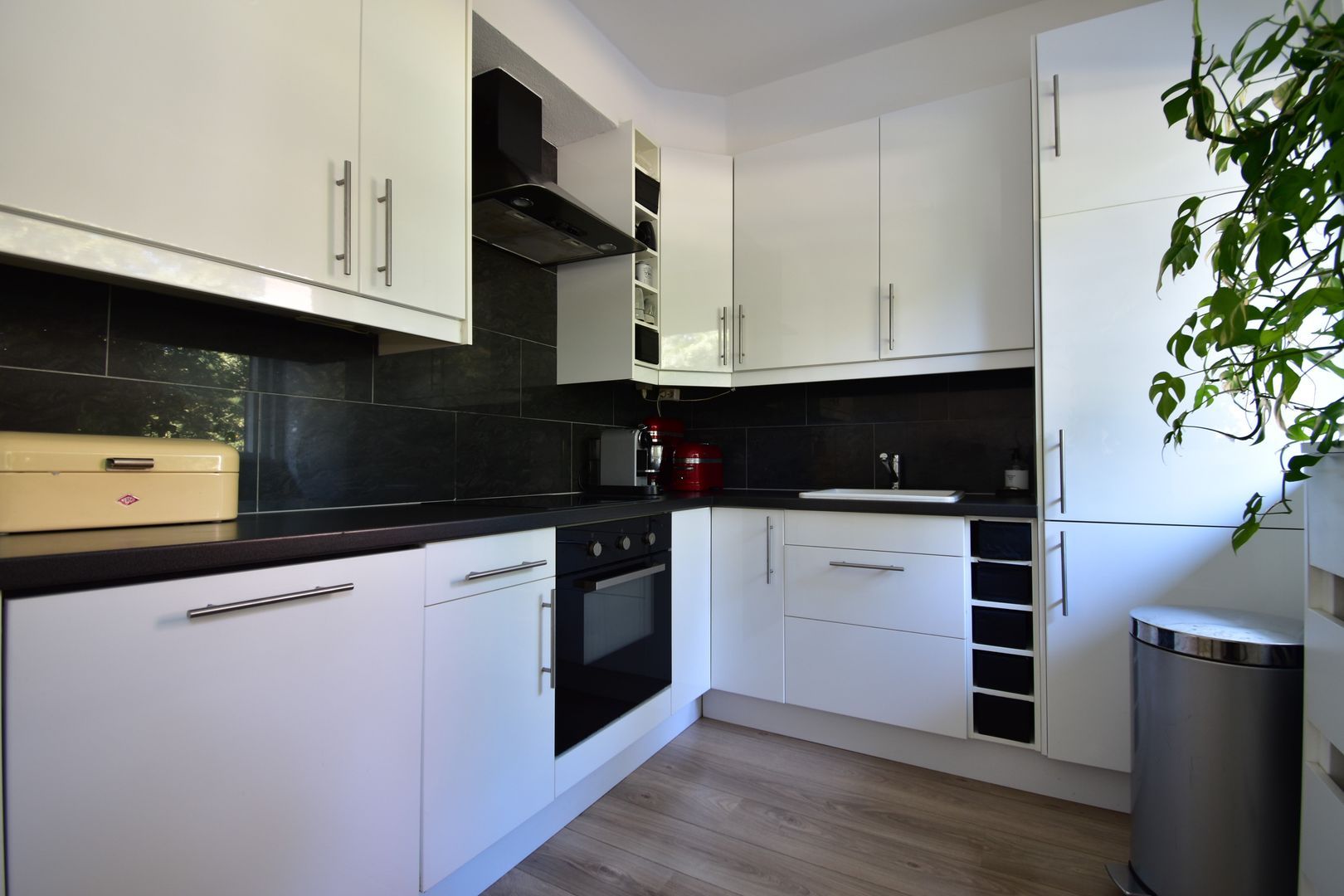 Duindoornstraat, Breda foto-0 blur