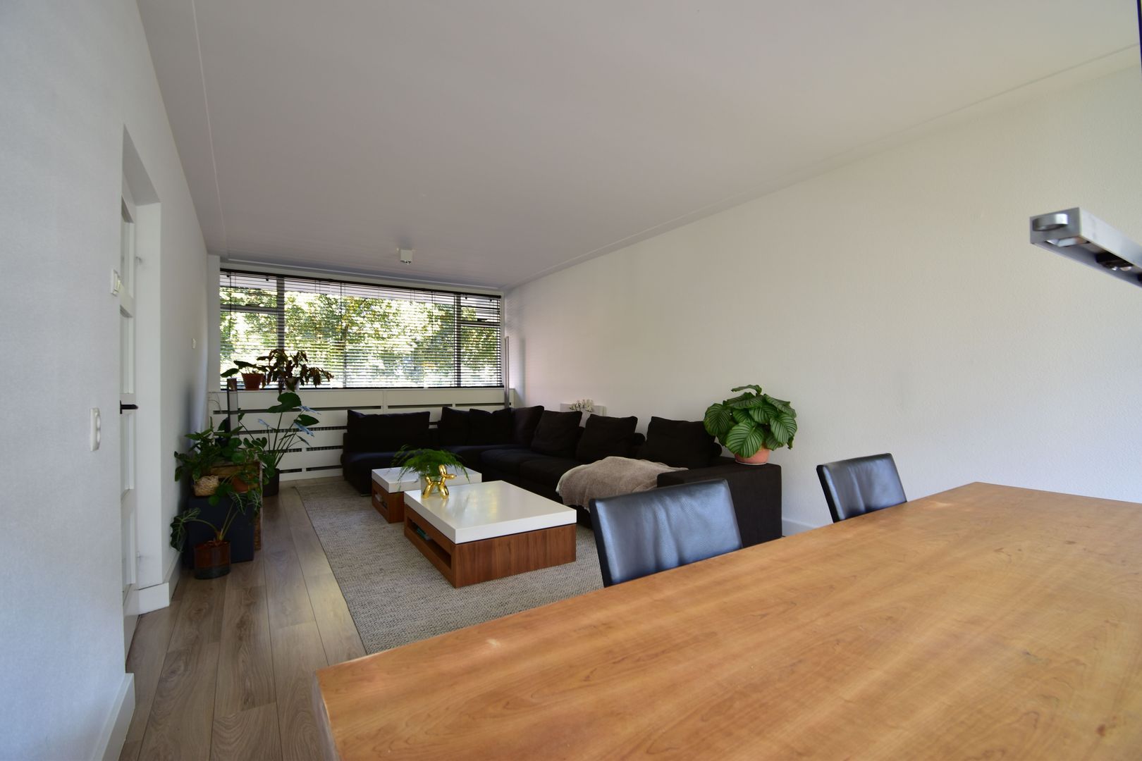 Duindoornstraat, Breda foto-3 blur