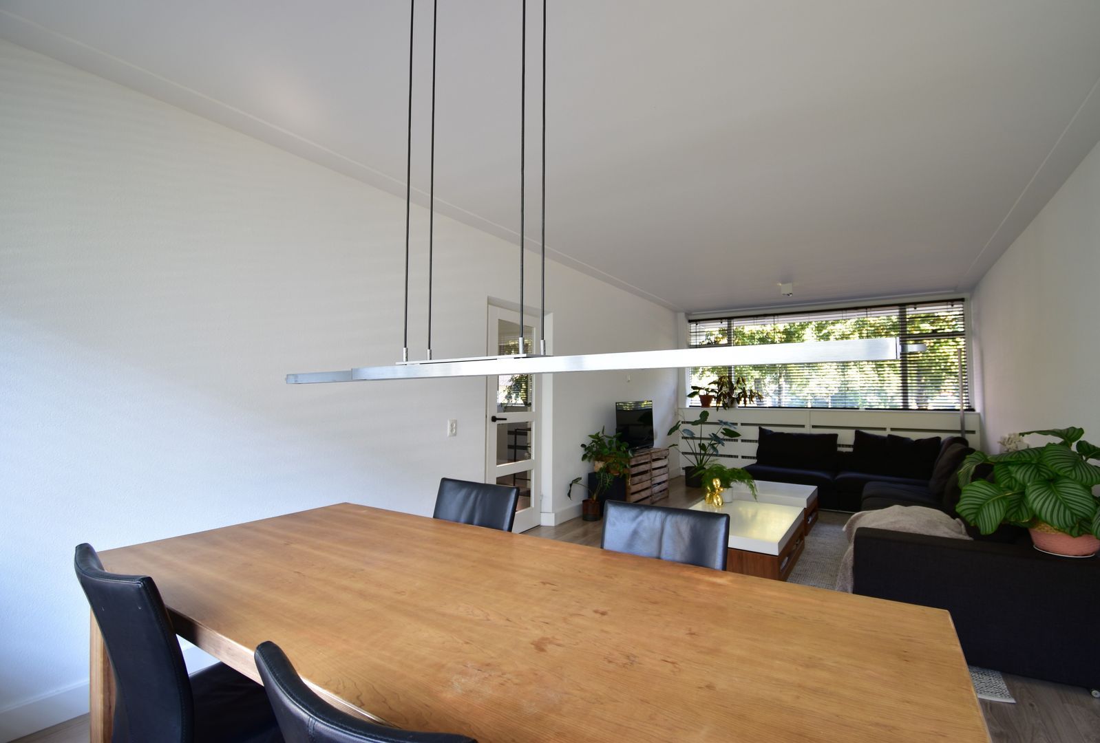 Duindoornstraat, Breda foto-5 blur