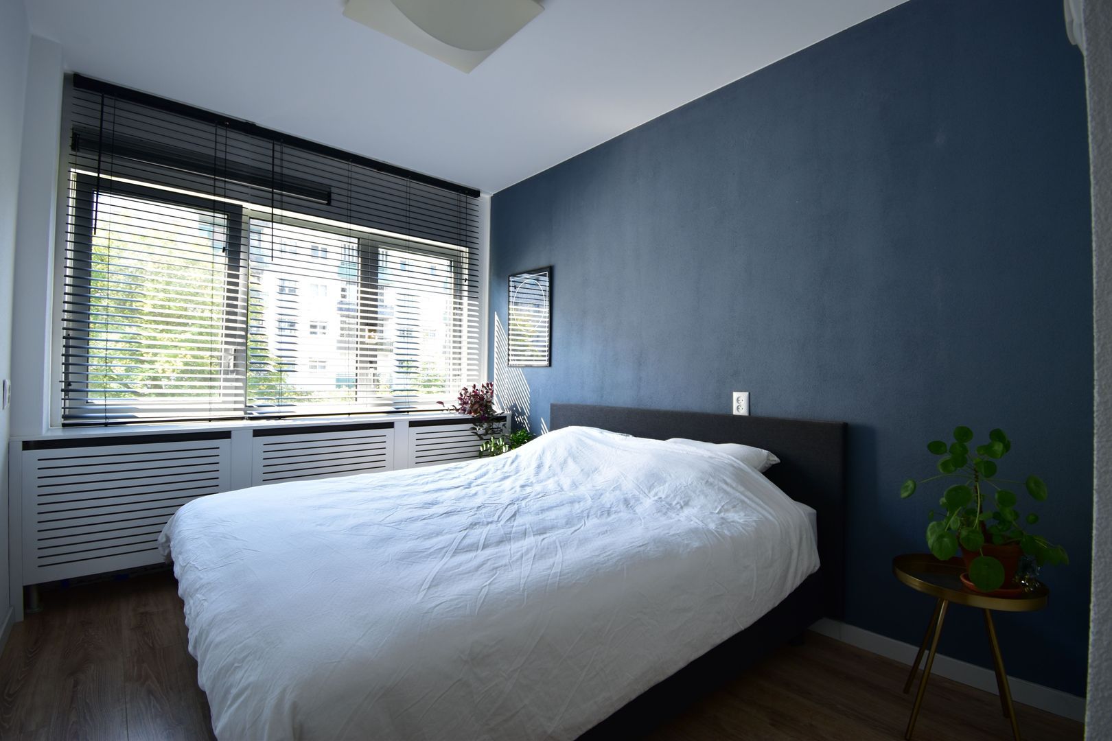 Duindoornstraat, Breda foto-12 blur