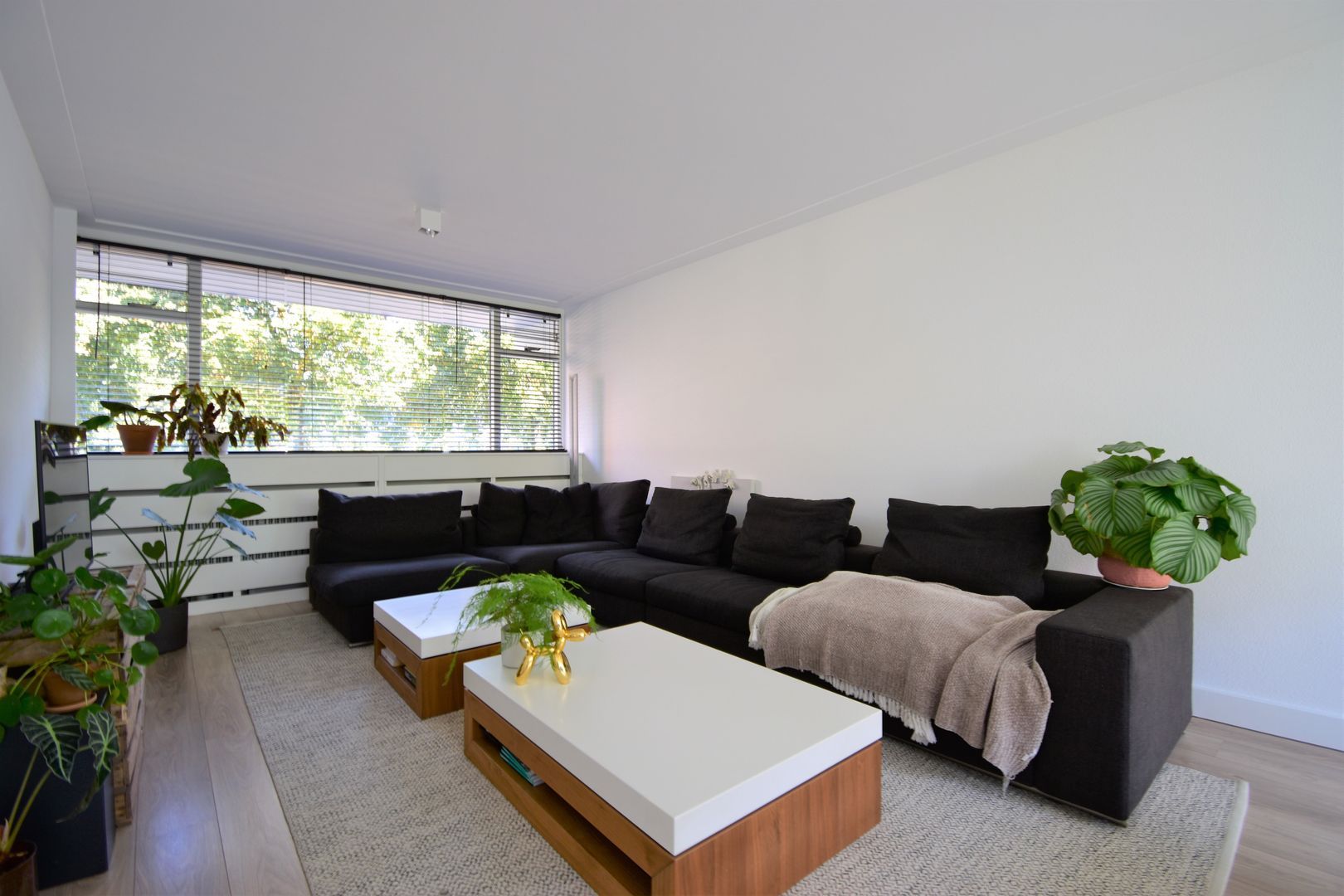 Duindoornstraat, Breda foto-7 blur