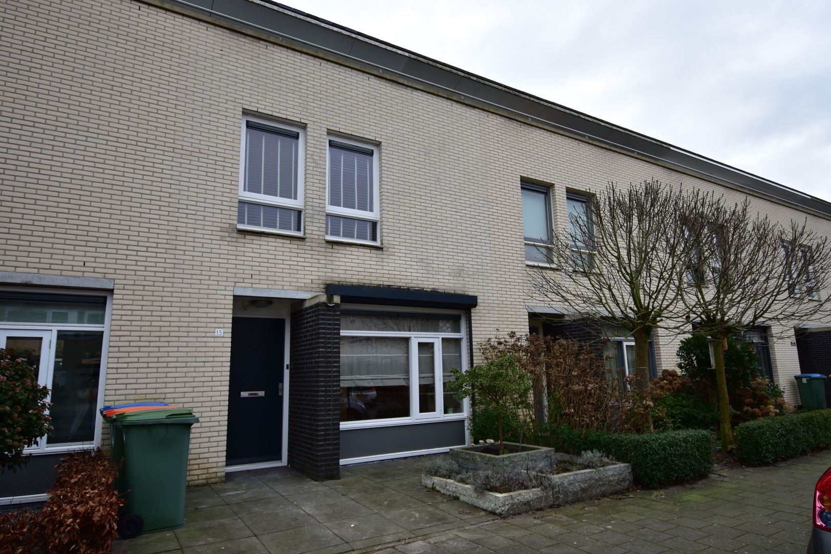 Dagpauwoog, Breda foto-0 blur