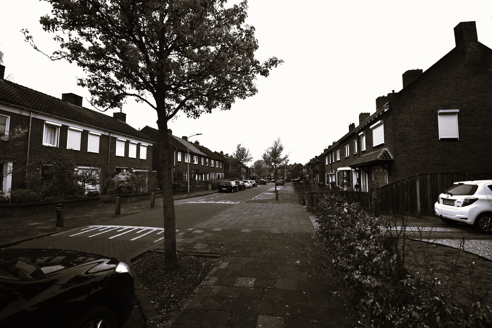 Jacob van Heemskerckstraat, Roosendaal foto-14 blur