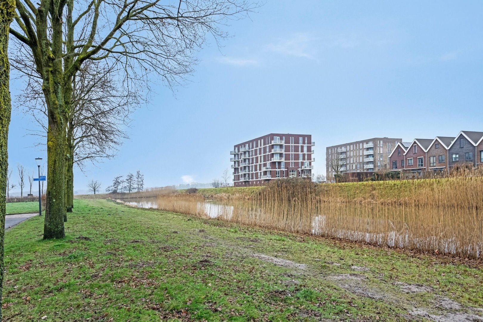 Albert van Huffelstraat, Breda foto-15 blur