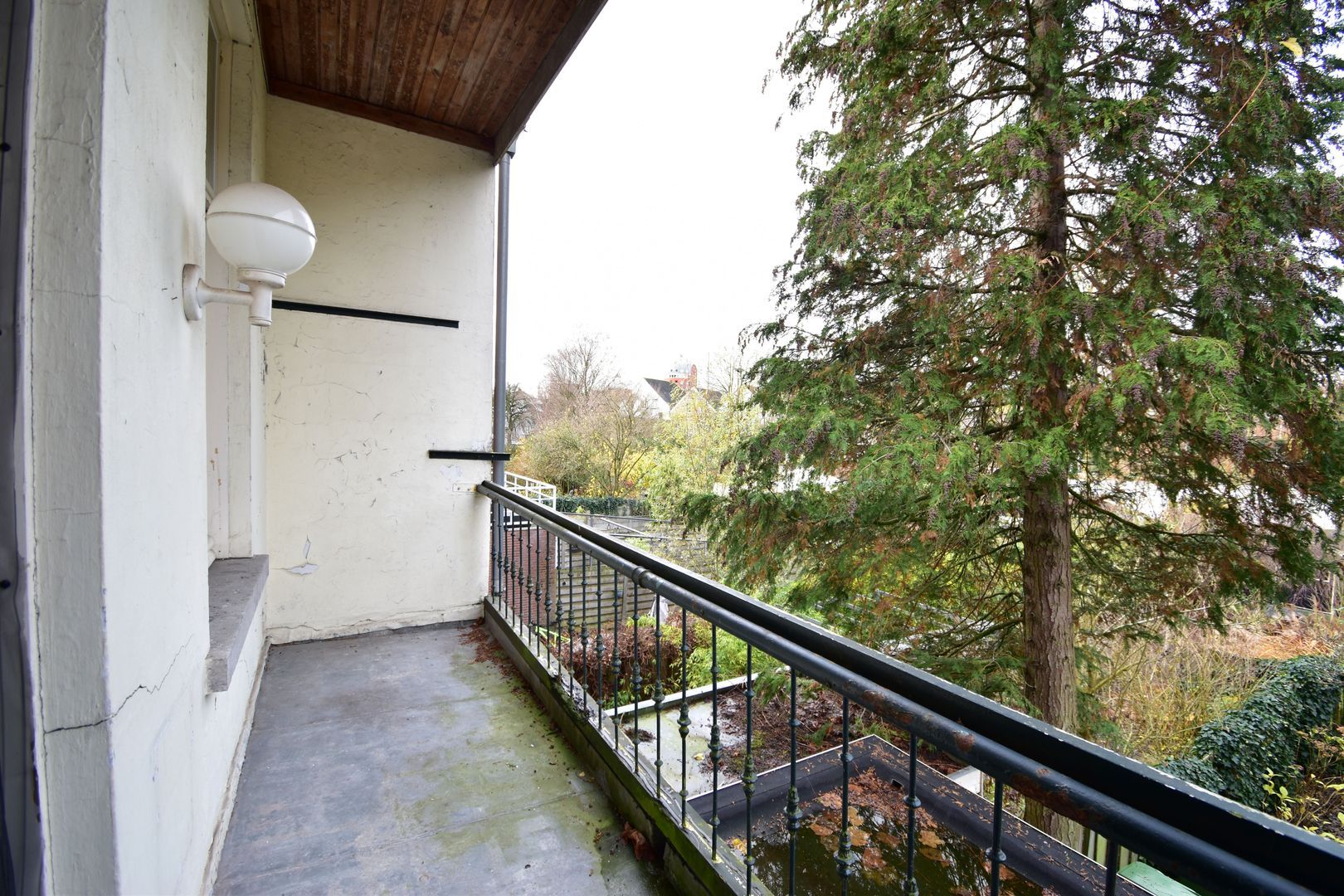 Nieuwe Boschstraat, Breda foto-4 blur