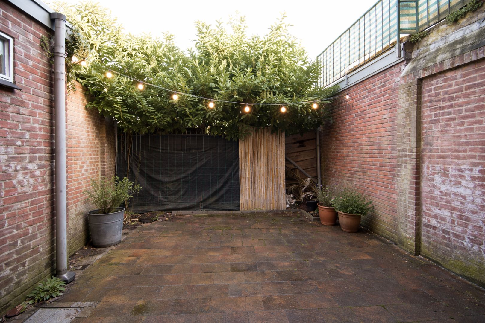 Generaal Maczekstraat, Breda foto-6 blur