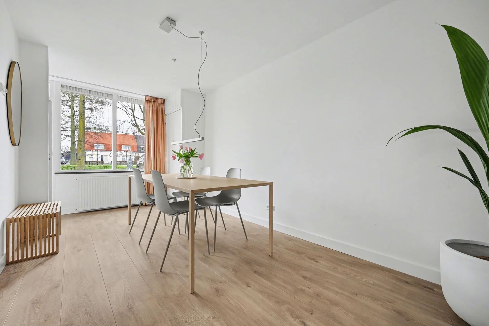 Houtse Heuvel, Den Hout foto-3 blur