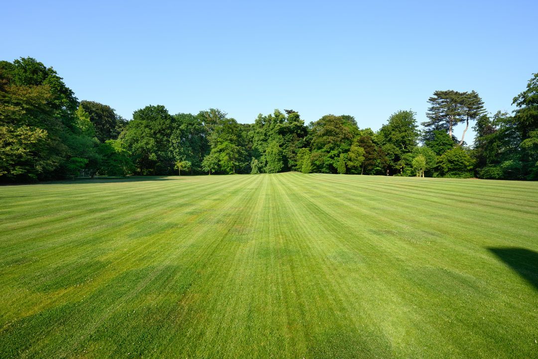 Kasteel Mishaegen, Brasschaat image thumbs 1
