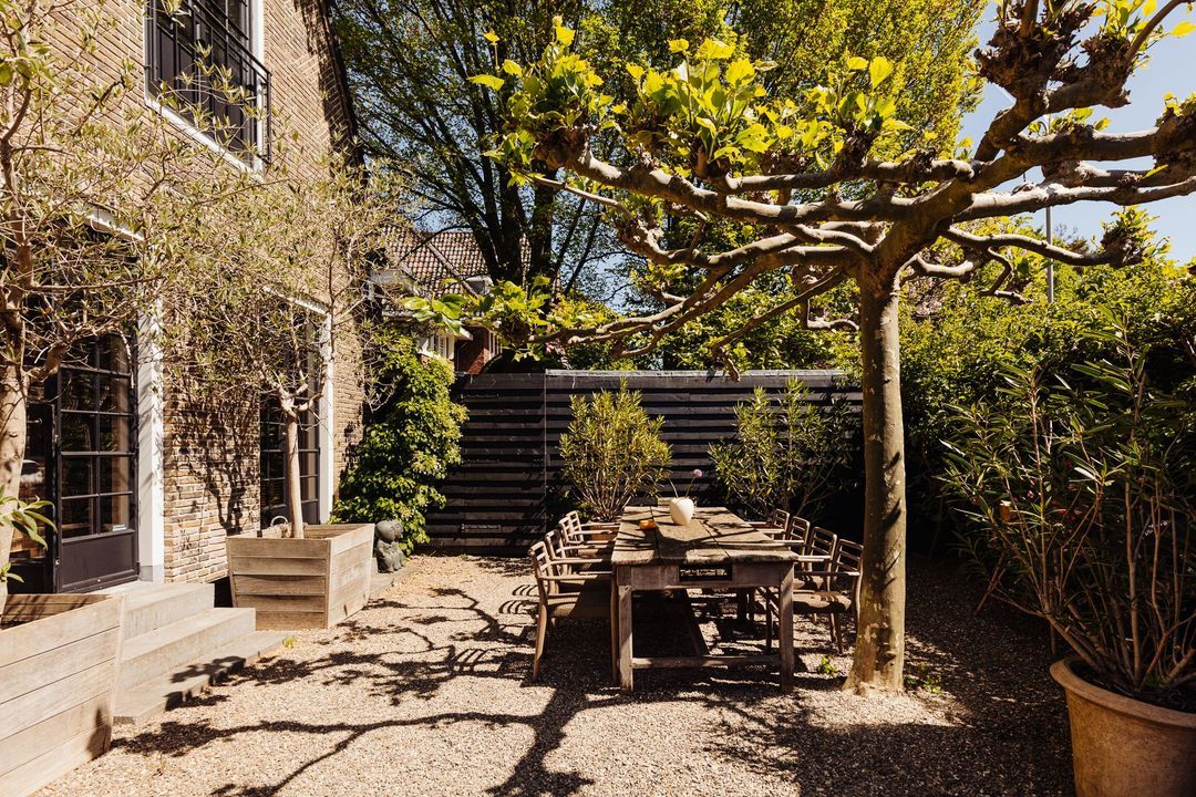 Bernard Zweerskade 12 image thumbs 1