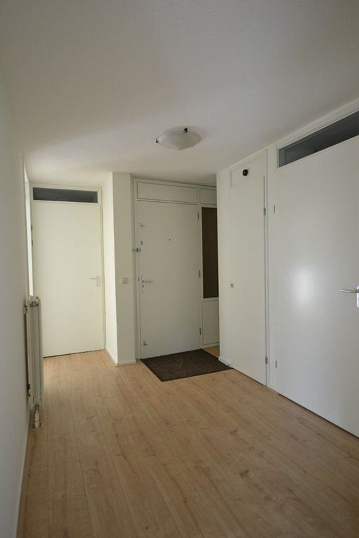 Finnenburg, Den Haag foto-11 blur