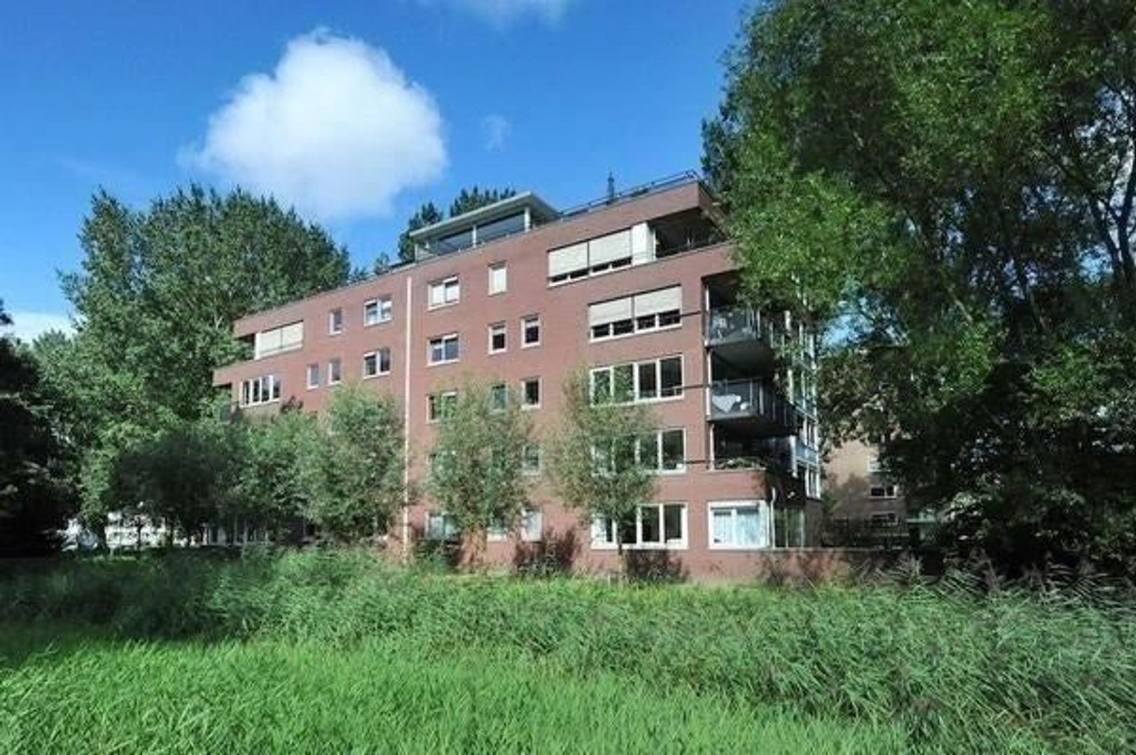 Finnenburg, Den Haag foto-10 blur