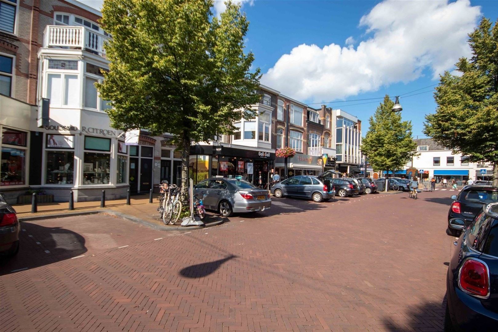 Lindelaan, Rijswijk foto-40 blur
