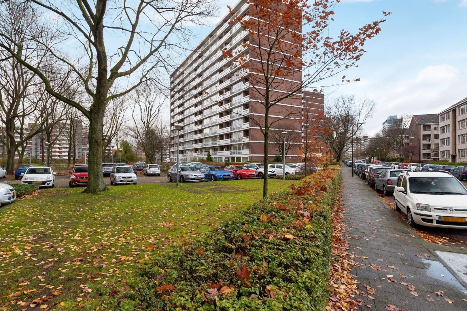 Ocarinalaan, Rijswijk foto-20 blur