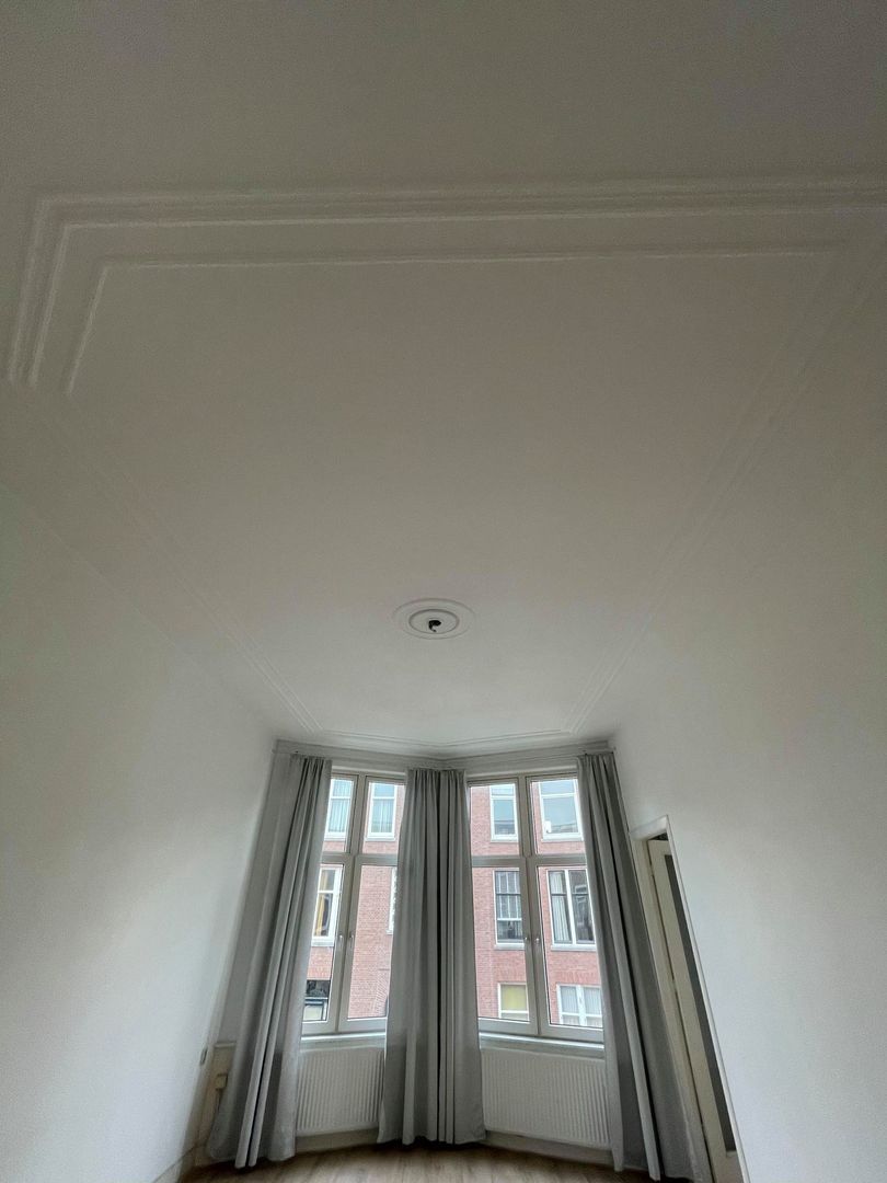 Berberisstraat, Den Haag foto-26 blur