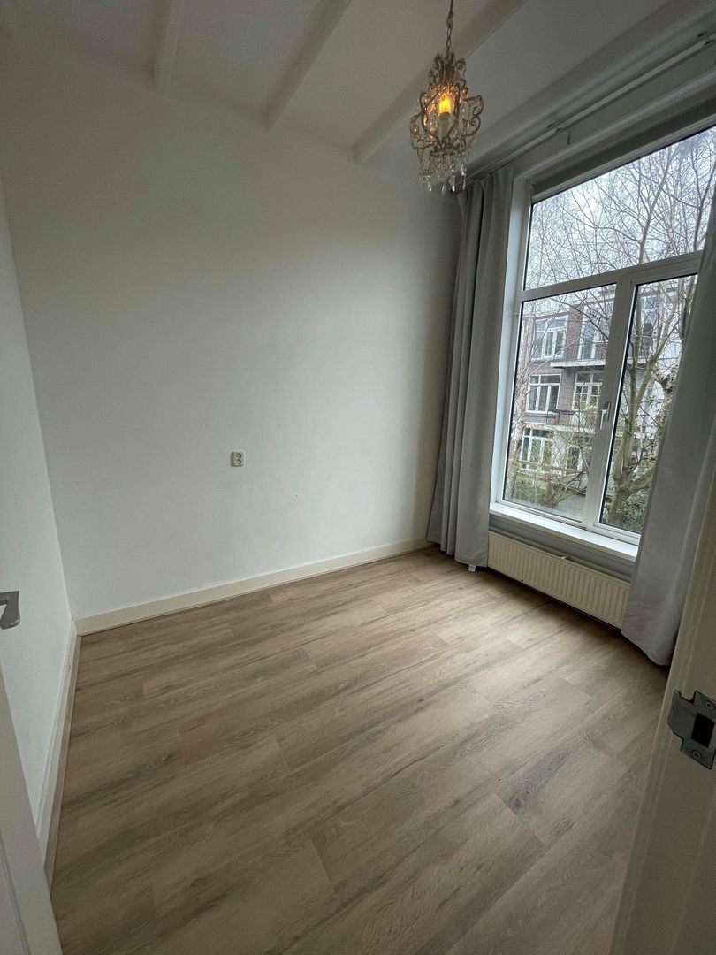 Berberisstraat, Den Haag foto-6 blur