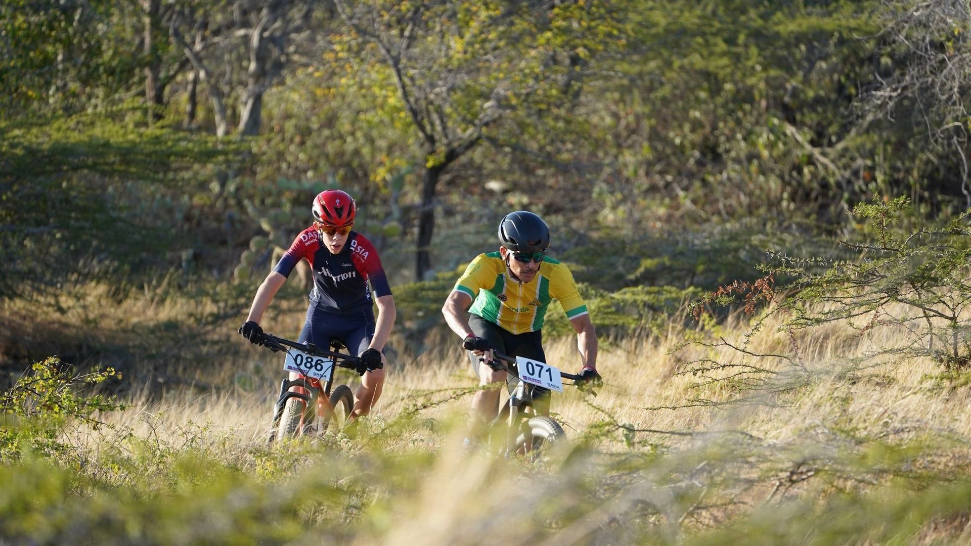 Mountainbiken met WannaBike